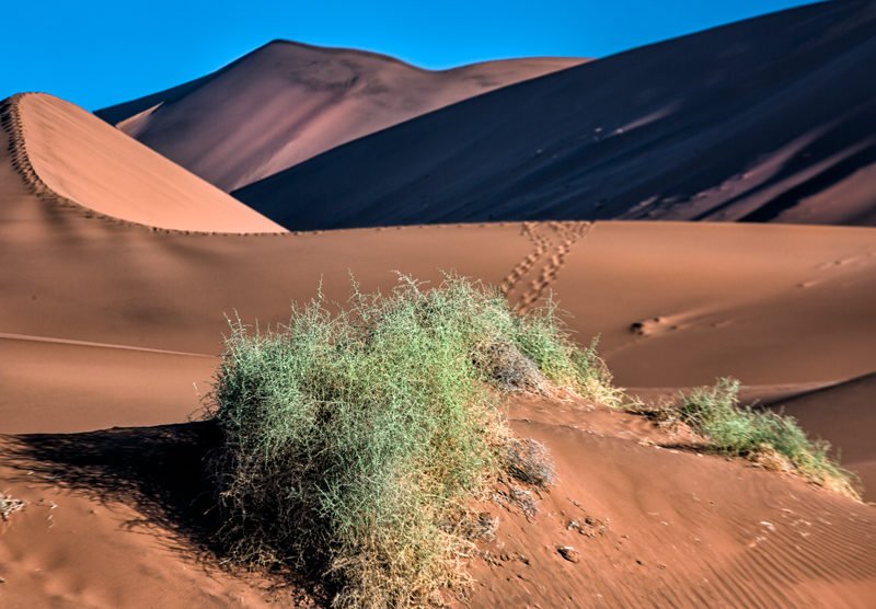 aga szydlik, Sossusvlei namibia