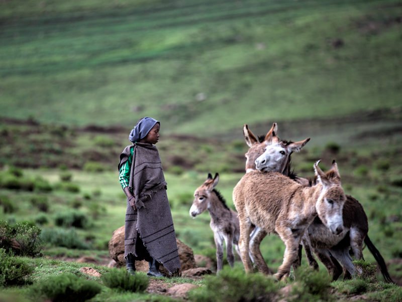 aga szydlik, lesotho