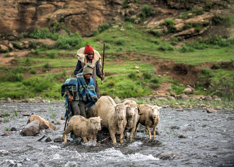 aga szydlik, lesotho