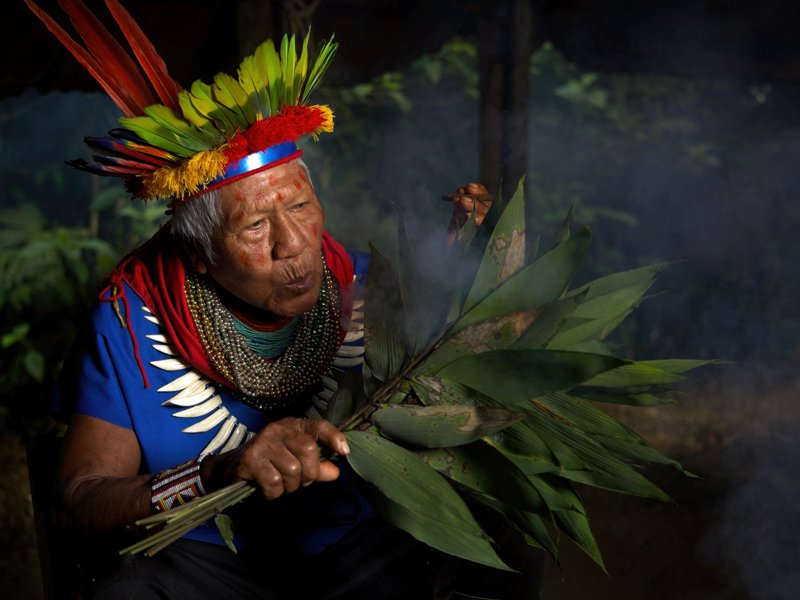 Guardians of the Rainforest | COFAN